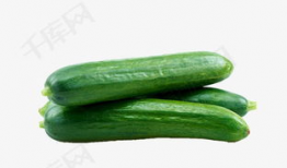 吃瓜大全爆料日常生活,日常生活里的趣味爆料